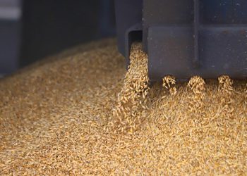 احتياطي مصر من السلع الأساسية يتجاوز 6 أشهر